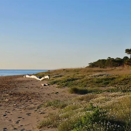 Haute Corse - A Moins De 100m De La Plage Borgo (Corsica)