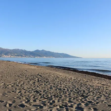 Haute Corse - A Moins De 100m De La Plage